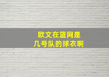 欧文在篮网是几号队的球衣啊