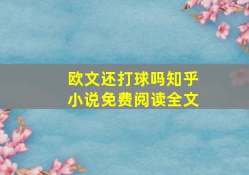 欧文还打球吗知乎小说免费阅读全文