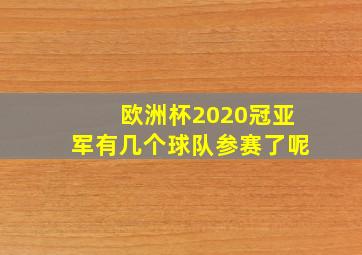 欧洲杯2020冠亚军有几个球队参赛了呢