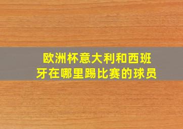 欧洲杯意大利和西班牙在哪里踢比赛的球员