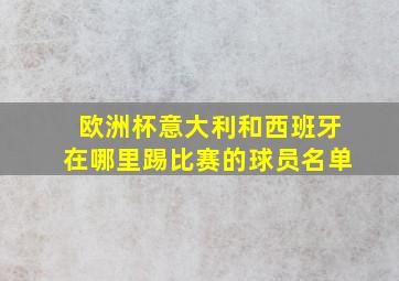 欧洲杯意大利和西班牙在哪里踢比赛的球员名单