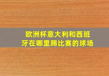 欧洲杯意大利和西班牙在哪里踢比赛的球场