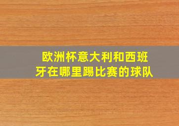 欧洲杯意大利和西班牙在哪里踢比赛的球队