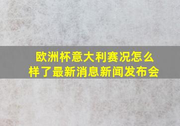 欧洲杯意大利赛况怎么样了最新消息新闻发布会