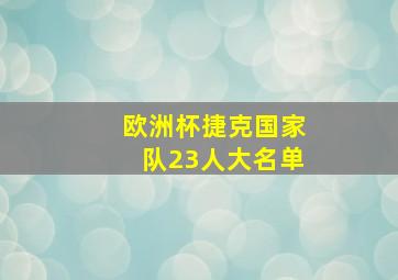 欧洲杯捷克国家队23人大名单