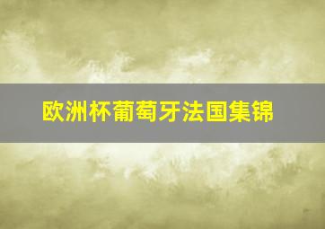 欧洲杯葡萄牙法国集锦