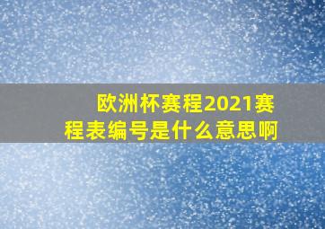 欧洲杯赛程2021赛程表编号是什么意思啊