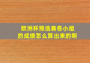 欧洲杯预选赛各小组的成绩怎么算出来的啊