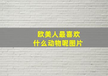 欧美人最喜欢什么动物呢图片