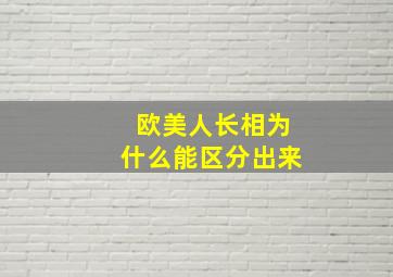 欧美人长相为什么能区分出来