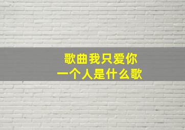 歌曲我只爱你一个人是什么歌