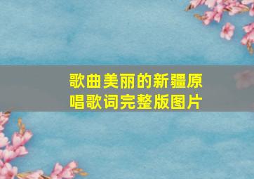 歌曲美丽的新疆原唱歌词完整版图片