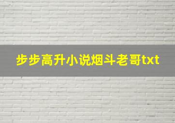 步步高升小说烟斗老哥txt