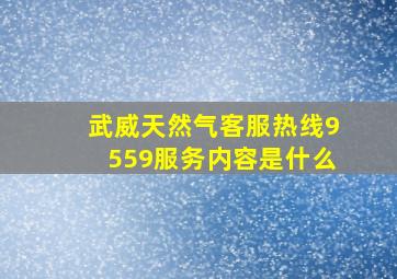 武威天然气客服热线9559服务内容是什么