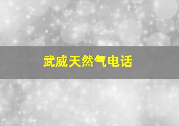 武威天然气电话