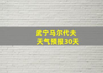 武宁马尔代夫天气预报30天