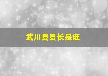 武川县县长是谁