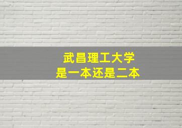 武昌理工大学是一本还是二本