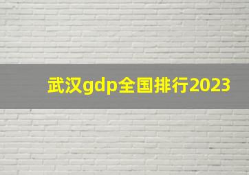 武汉gdp全国排行2023