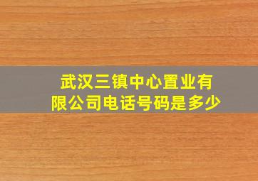 武汉三镇中心置业有限公司电话号码是多少