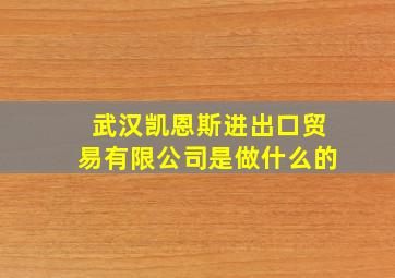 武汉凯恩斯进出口贸易有限公司是做什么的