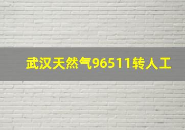 武汉天然气96511转人工