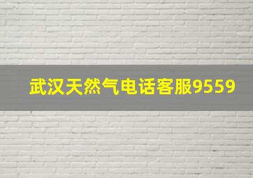 武汉天然气电话客服9559