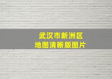 武汉市新洲区地图清晰版图片