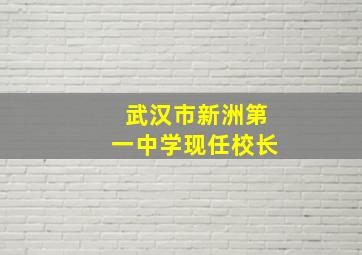 武汉市新洲第一中学现任校长