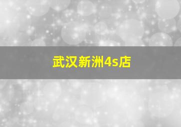 武汉新洲4s店