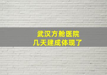 武汉方舱医院几天建成体现了