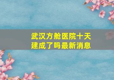 武汉方舱医院十天建成了吗最新消息