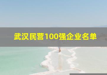 武汉民营100强企业名单