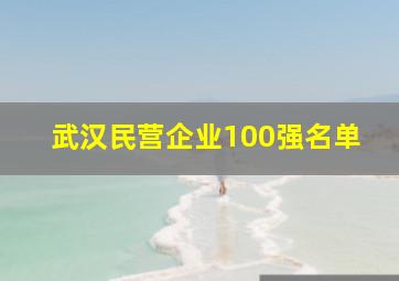 武汉民营企业100强名单