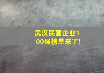 武汉民营企业100强榜单来了!