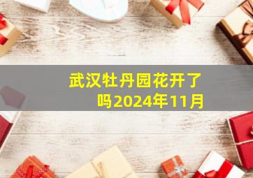 武汉牡丹园花开了吗2024年11月