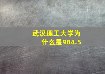 武汉理工大学为什么是984.5