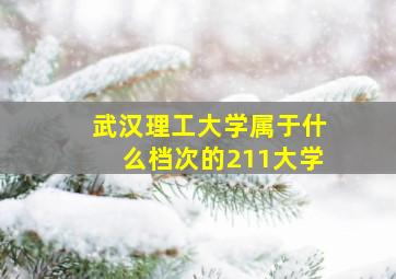 武汉理工大学属于什么档次的211大学