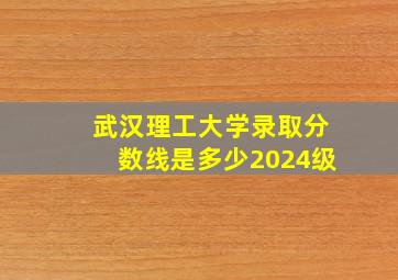 武汉理工大学录取分数线是多少2024级