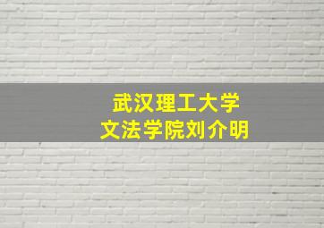 武汉理工大学文法学院刘介明