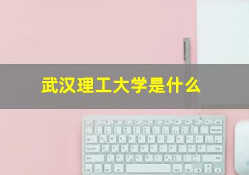 武汉理工大学是什么