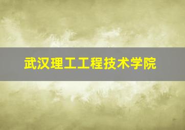 武汉理工工程技术学院