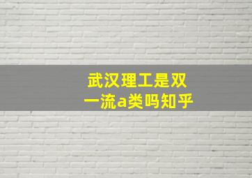 武汉理工是双一流a类吗知乎