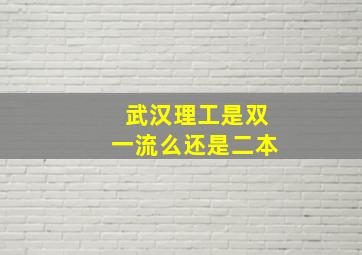 武汉理工是双一流么还是二本