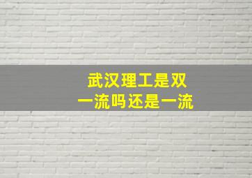 武汉理工是双一流吗还是一流