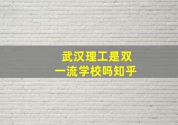 武汉理工是双一流学校吗知乎