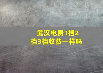 武汉电费1档2档3档收费一样吗