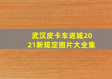 武汉皮卡车进城2021新规定图片大全集