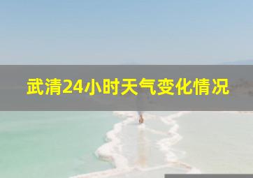 武清24小时天气变化情况