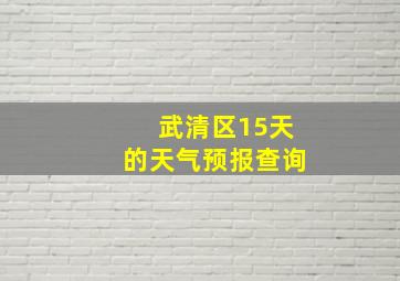 武清区15天的天气预报查询